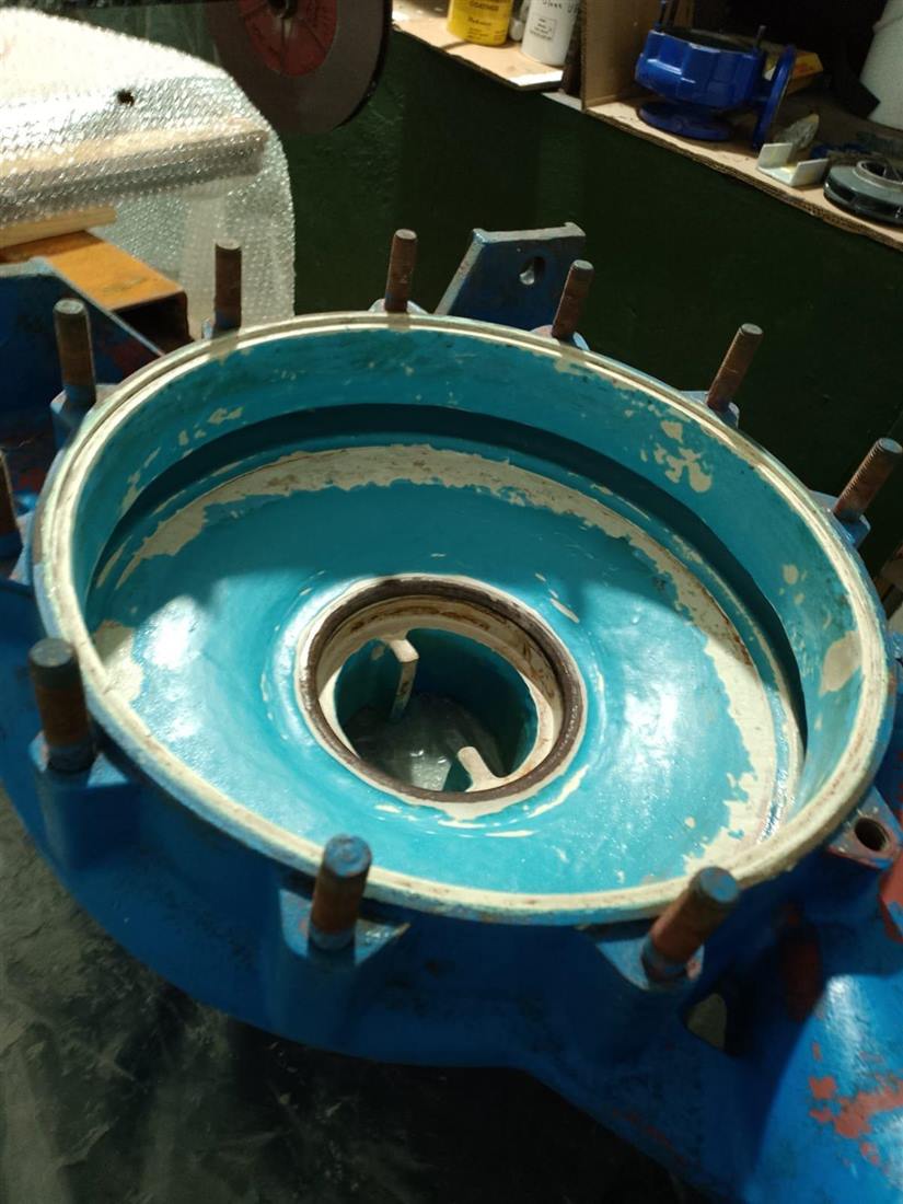 Pump volute lined with a glossy blue glass flake coating
